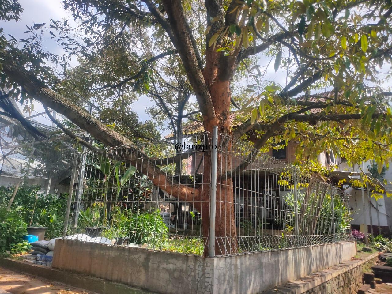 Pesona Khayangan Margonda | Rumah Mewah Eksklusif LT 3.700 m² - Gambar 6