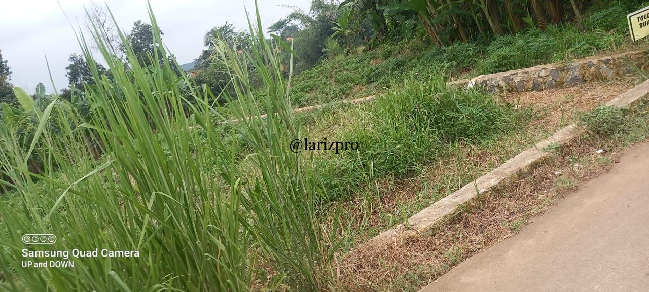 Tanah Strategis Pinggir Jalan di Parung Kemang Bogor Akses Mobil - Gambar 4