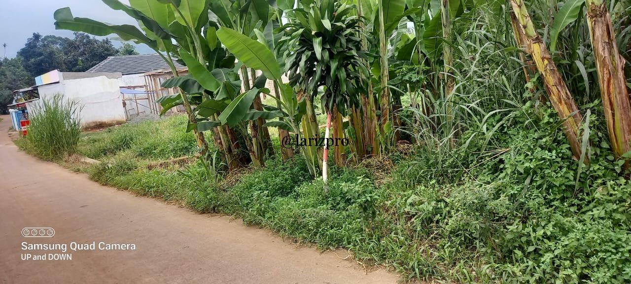 Tanah Strategis Pinggir Jalan di Parung Kemang Bogor Akses Mobil - Gambar 8