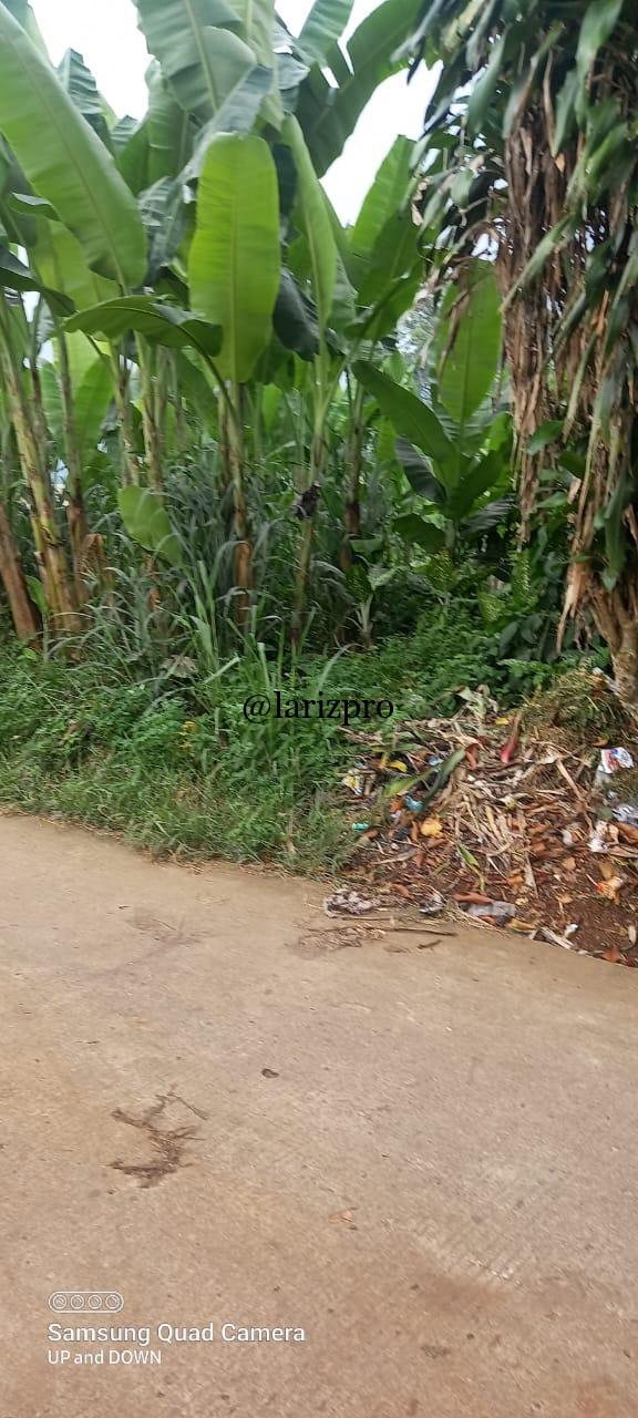 Tanah Strategis Pinggir Jalan di Parung Kemang Bogor Akses Mobil - Gambar 15
