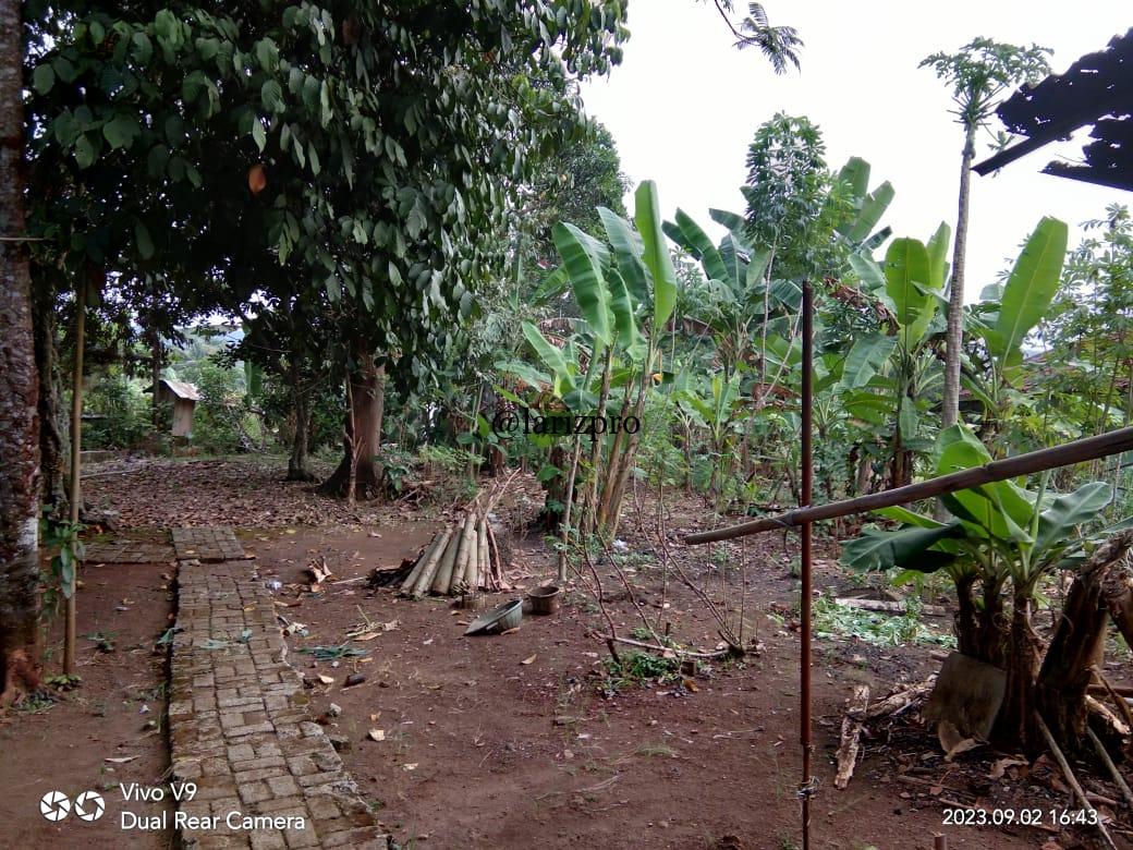 Tanah Strategis 846 m² di Jl. Raya Pabuaran, Kemang, Bogor – Pinggir Jalan Utama - Gambar 5