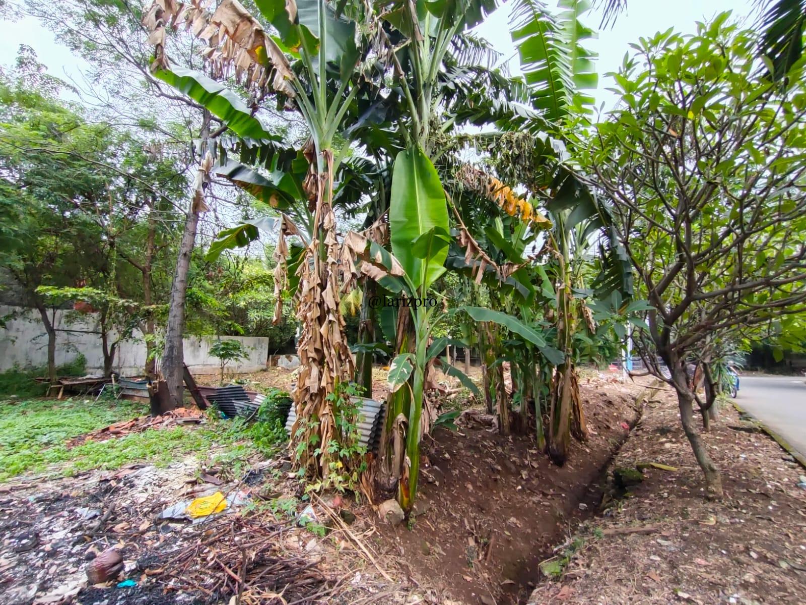Tanah Kavling SHM Jakasampurna Jl Tangkuban Perahu LT 544 m² - Gambar 14