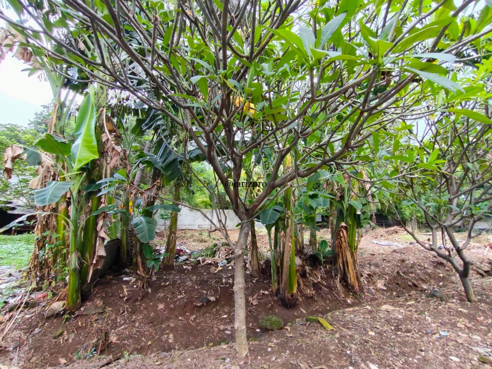 Tanah Kavling SHM Jakasampurna Jl Tangkuban Perahu LT 544 m² - Gambar 8