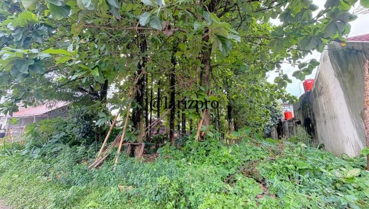 Dijual Tanah SHM 800 m² Bonus Pohon Jati Matang di Cibinong Bogor - Gambar 5
