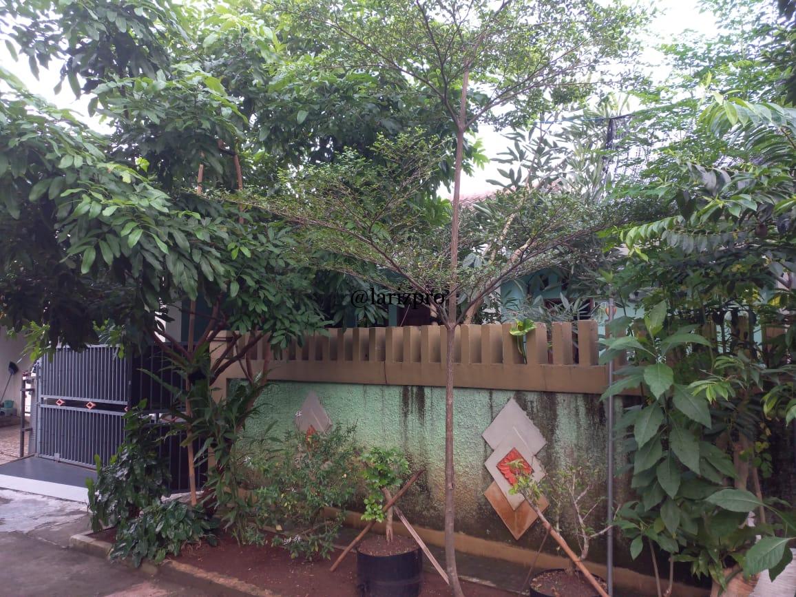 Dijual Rumah SHGB (Proses SHM) di Taman Anyelir 1 Depok | Siap Lantai 2 - Gambar 5