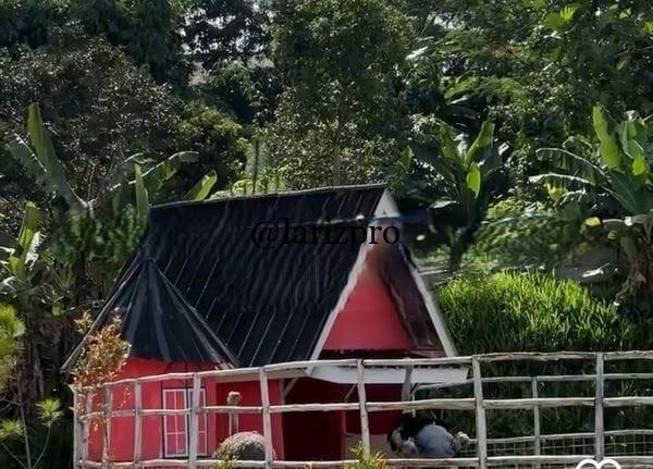 Rumah Agrowisata Waru Farm Land Bogor – Murah SHM - Gambar 4
