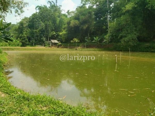 Tanah Kolam Sukabumi SHM 3347 m² Lokasi Cijalingan Strategis - Gambar 4