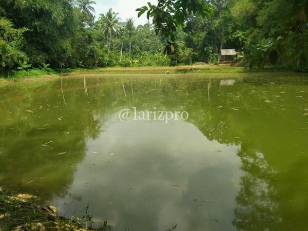 Tanah Kolam Sukabumi SHM 3347 m² Lokasi Cijalingan Strategis - Gambar 2
