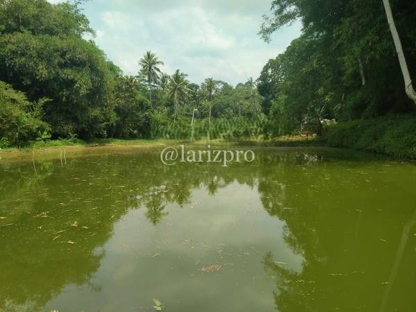 Tanah Kolam Sukabumi SHM 3347 m² Lokasi Cijalingan Strategis - Gambar 3