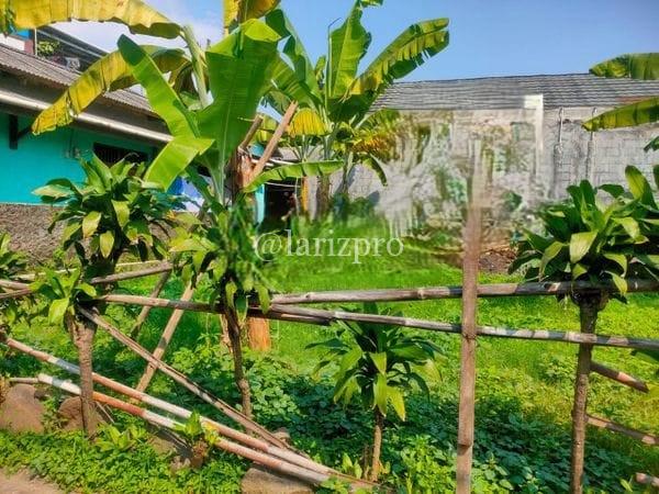 Tanah Siap Bangun Cibinong Bogor 148 m² SHM Cirimekar Akses Mobil - Gambar 3