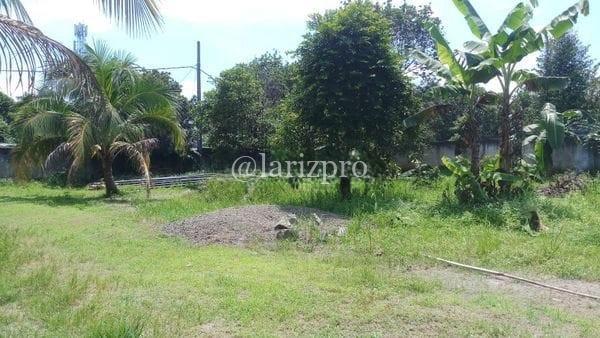 Tanah 3100m Bogor Bonus 4 Rumah SHM Siap Usaha & Investasi - Gambar 3