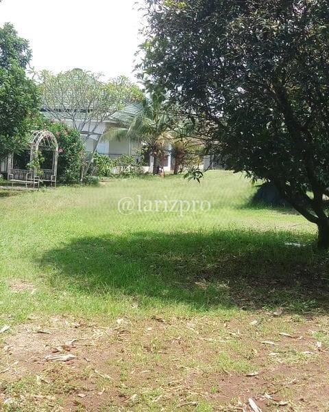Tanah 3100m Bogor Bonus 4 Rumah SHM Siap Usaha & Investasi - Gambar 5