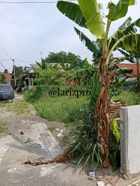Tanah Kavling di Cibinong Bogor Dekat Stasiun – Siap Bangun Dalam Cluster - Gambar 6