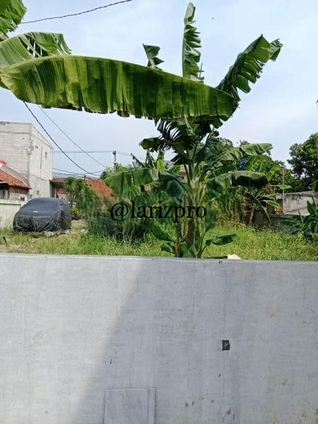 Tanah Kavling di Cibinong Bogor Dekat Stasiun – Siap Bangun Dalam Cluster - Gambar 4