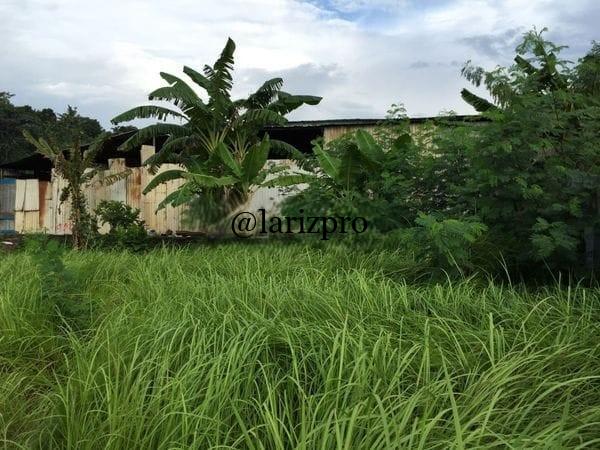 Tanah 1500m di Tengah Kota Depok – Strategis Dekat Margonda - Gambar 4