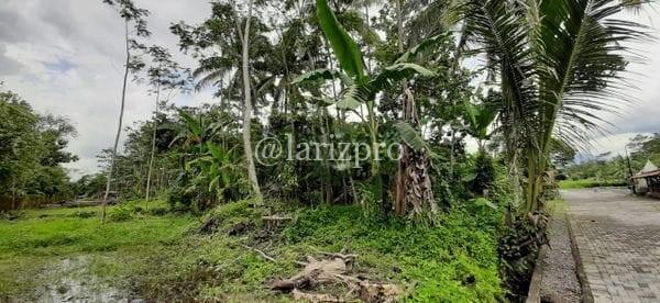 Tanah 1835m Ngaglik Sleman Pinggir Jalan Raya SHM Strategis - Gambar 8