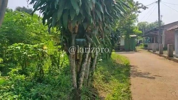 Tanah Murah Cileungsi 180 m² Siap Bangun Akses Mobil Rawa Ilat - Gambar 9