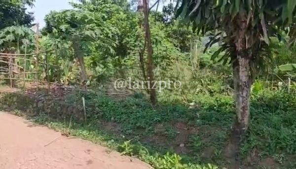 Tanah Murah Cileungsi 180 m² Siap Bangun Akses Mobil Rawa Ilat - Gambar 3