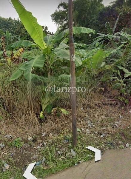 Tanah Tajur Halang Bogor 1350 m² SHM Cocok Cluster Pinggir Jalan - Gambar 4