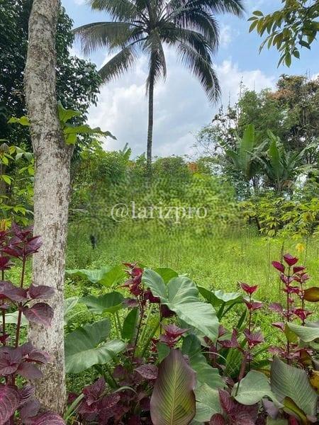 Tanah Strategis Tapos Ciawi Bogor 1089 m² SHM Jalur Alternatif Puncak - Gambar 7