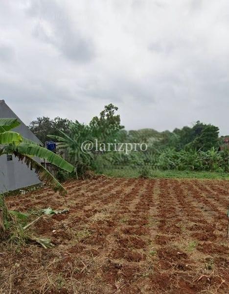 Tanah Murah Tajur Halang Bogor 990 m² SHM Cocok Cluster - Gambar 5